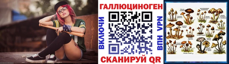MEGA как зайти  Гусев  Псилоцибиновые грибы MAGIC MUSHROOMS  купить  